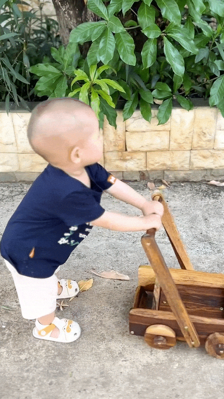 a gif, a baby is pushing a baby walker, wooden toys